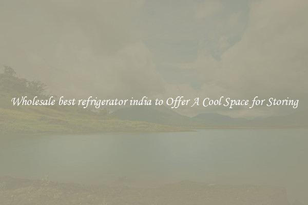 Wholesale best refrigerator india to Offer A Cool Space for Storing