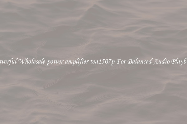 Powerful Wholesale power amplifier tea1507p For Balanced Audio Playback