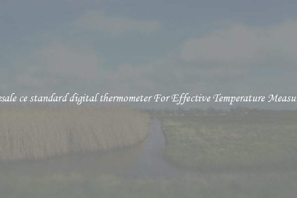 Wholesale ce standard digital thermometer For Effective Temperature Measurement