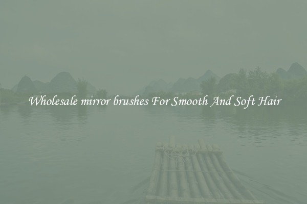Wholesale mirror brushes For Smooth And Soft Hair