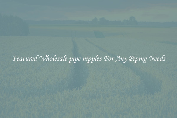 Featured Wholesale pipe nipples For Any Piping Needs