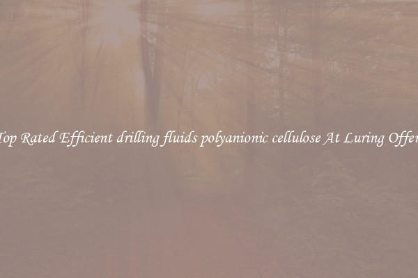 Top Rated Efficient drilling fluids polyanionic cellulose At Luring Offers
