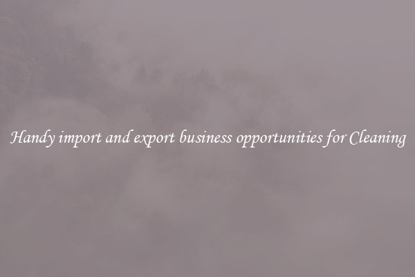 Handy import and export business opportunities for Cleaning