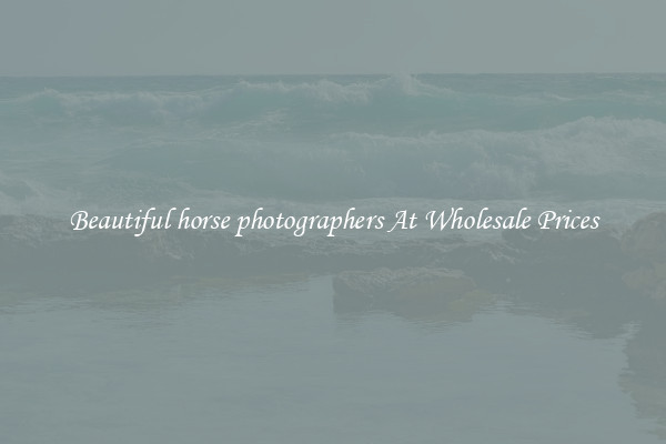 Beautiful horse photographers At Wholesale Prices