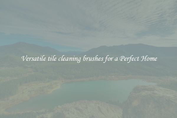 Versatile tile cleaning brushes for a Perfect Home