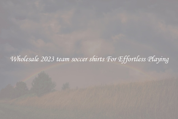 Wholesale 2023 team soccer shirts For Effortless Playing