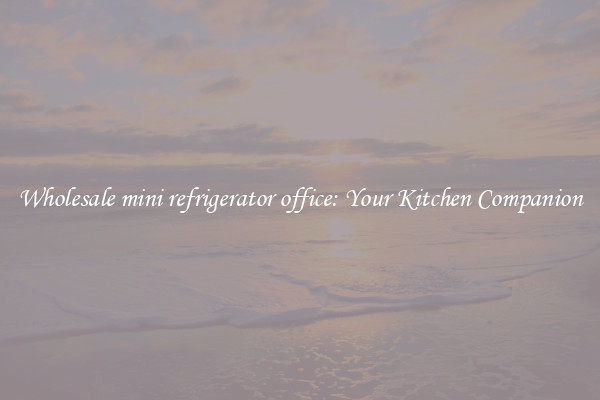 Wholesale mini refrigerator office: Your Kitchen Companion