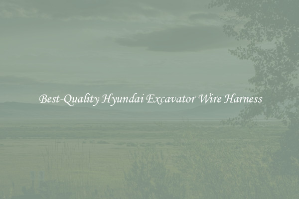 Best-Quality Hyundai Excavator Wire Harness