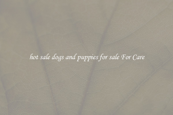 hot sale dogs and puppies for sale For Care