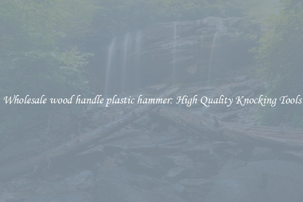 Wholesale wood handle plastic hammer: High Quality Knocking Tools