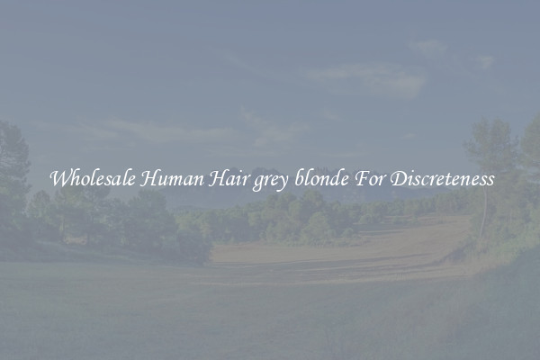 Wholesale Human Hair grey blonde For Discreteness