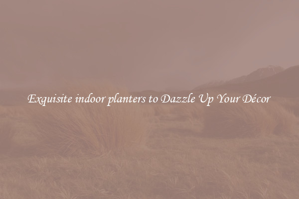 Exquisite indoor planters to Dazzle Up Your Décor 