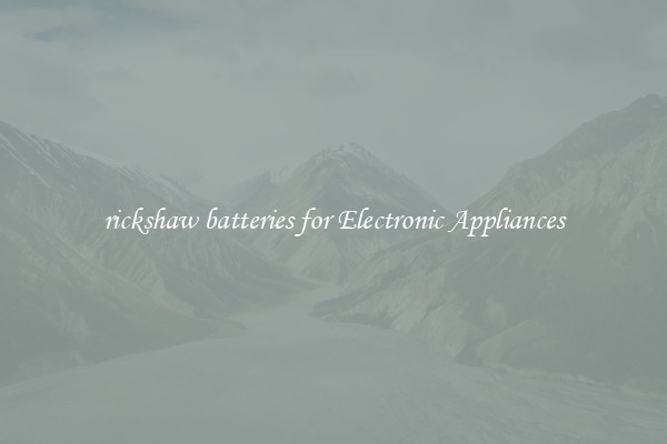rickshaw batteries for Electronic Appliances