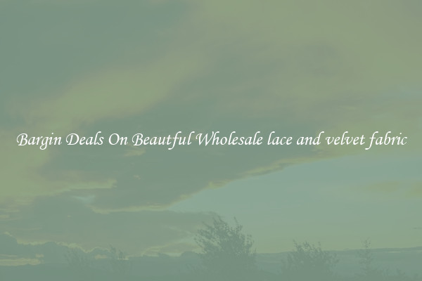 Bargin Deals On Beautful Wholesale lace and velvet fabric