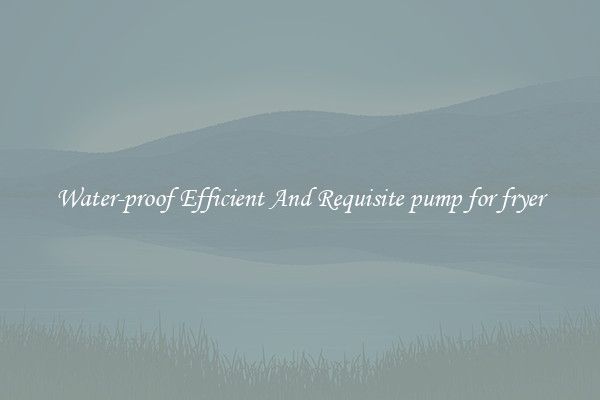Water-proof Efficient And Requisite pump for fryer