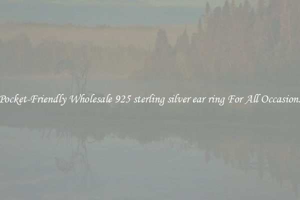 Pocket-Friendly Wholesale 925 sterling silver ear ring For All Occasions